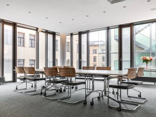 Bürofläche zur Miete provisionsfrei 4.139&nbsp;€ 20 m² Bürofläche Maximilianstraße 13 Altstadt-Lehel München 80539