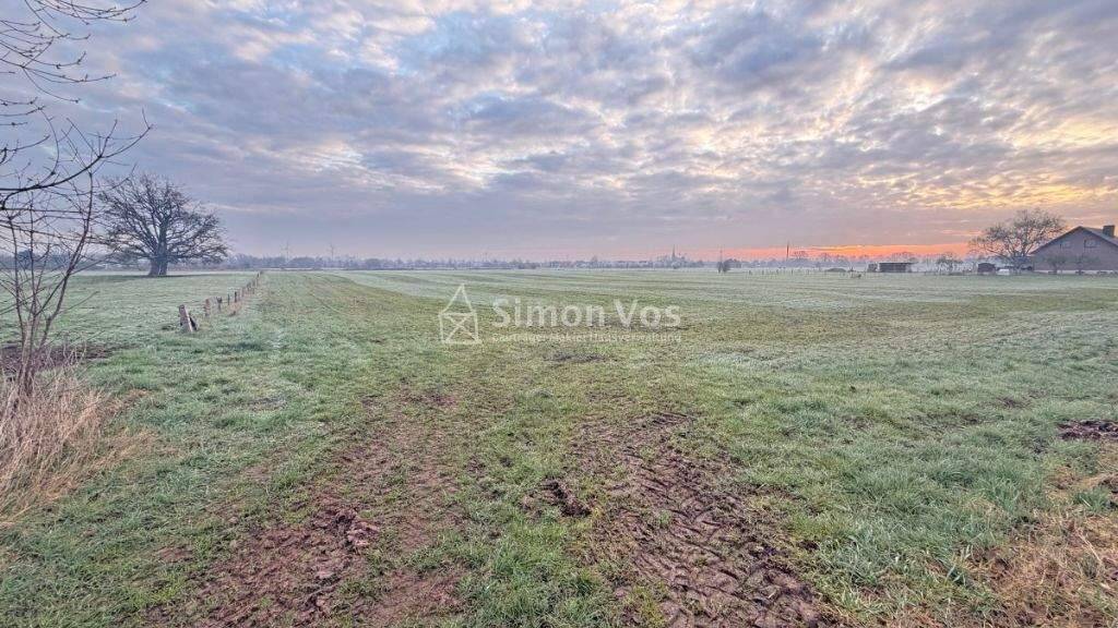 Land-/Forstwirtschaft zum Kauf 337.500 € 37.500 m² Grundstück Isselburg Isselburg - Werth 46419