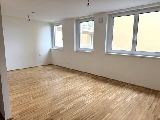 Wohnung zur Miete 626 € 1 Zimmer 41,2 m² 2. Geschoss Donaustadt 1220