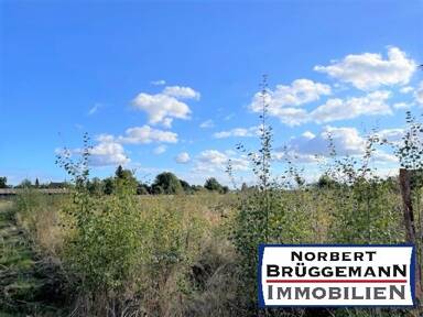 Grundstück zum Kauf 260.000 € 778 m² Grundstück Breyell Nettetal -Schaag 41334