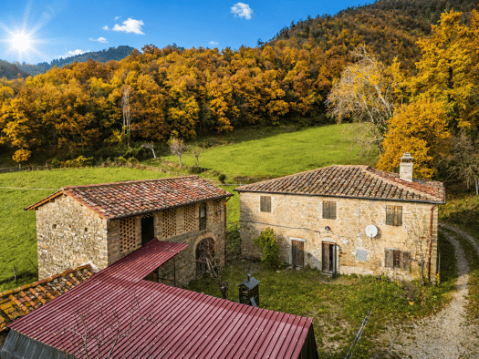 Bauernhaus zum Kauf 590.000 € 4 Zimmer 330 m² 600.000 m² Grundstück frei ab sofort Scarperia e San Piero 50038
