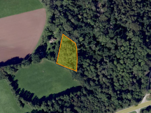 Land-/Forstwirtschaft zum Kauf 5.000 € 1.788 m² Grundstück Feuchtwangen 91555