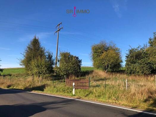 Grundstück zum Kauf 20.000 € 3.515 m² Grundstück Obergeckler 54675