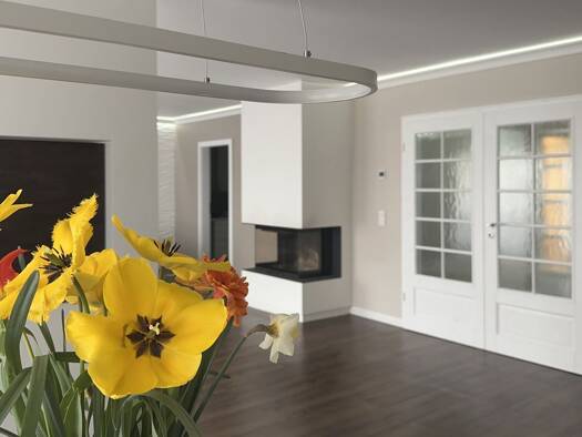 Mehrfamilienhaus zum Kauf 1.099.000 € 7 Zimmer 300 m² 1.728 m² Grundstück Radolfzell 78315