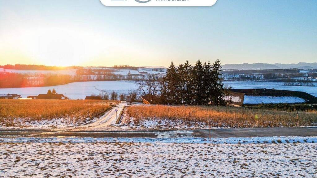 Grundstück zum Kauf 290.000 € 851 m² Grundstück Neuhofen an der Krems 4501