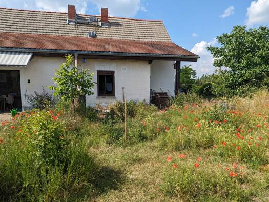 Bauernhaus zum Kauf 29.000 € 2 Zimmer 73 m² 427 m² Grundstück Lebendorf Könnern 06420