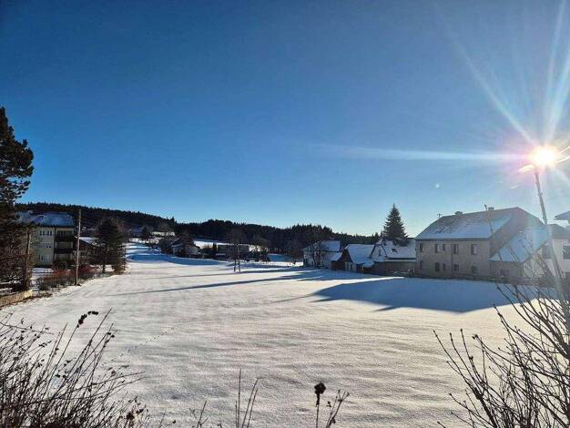 Grundstück zum Kauf provisionsfrei 34.599 € 607 m² Grundstück Schmidweg Sandl 4251