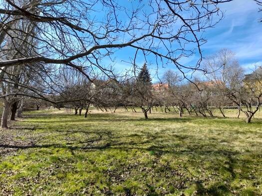 Grundstück zum Kauf 85.000 € 701 m² Grundstück Hartberg 8230