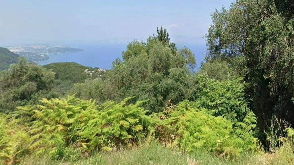 Land-/Forstwirtschaft zum Kauf 130.000 € 2.300 m² Grundstück Korfu