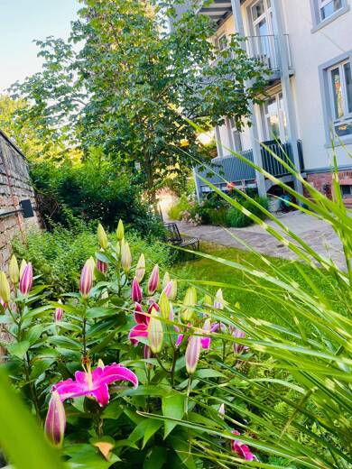 Wohnung zur Miete 710 € 2 Zimmer 46 m² Geschoss EG/2 frei ab 01.09.2025 Messehalle Offenbach am Main 63067