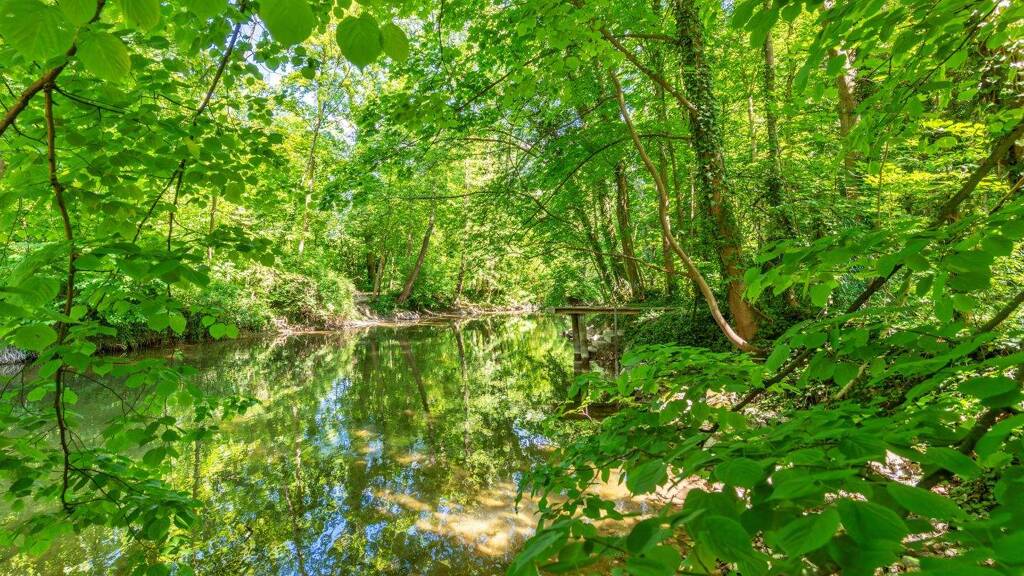 Immobilie in Emmering - Idyll mit Zugang zur Amper: Einfamilienhaus mit weiterem Baurecht auf dem Grundstück - Bild 3