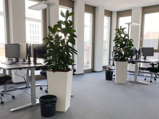 Bürofläche zur Miete provisionsfrei 2.300 € 78 m² Bürofläche Konrad-Zuse-Straße Flugfeld Böblingen 71034