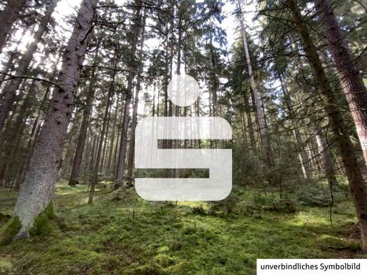 Land-/Forstwirtschaft zum Kauf 55.000 € 14.070 m² Grundstück Hohentreswitz Pfreimd 92536