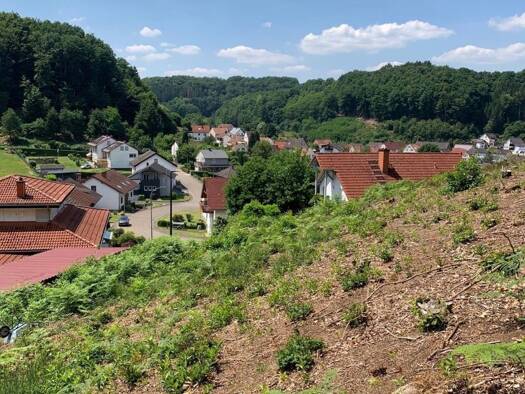 Grundstück zum Kauf 68.000 € 999 m² Grundstück frei ab sofort Trulben Trulben 66957
