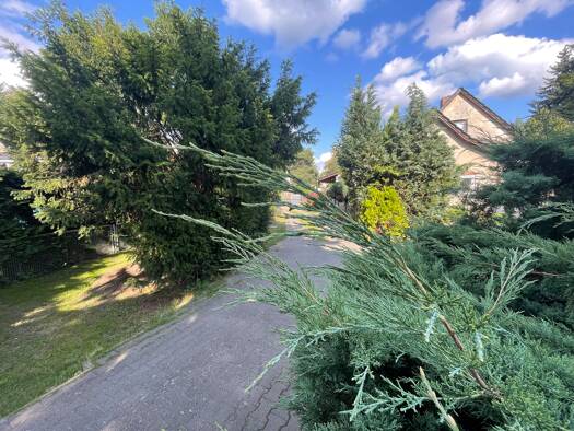 Einfamilienhaus zum Kauf provisionsfrei 620.000 € Basdorf Wandlitz 16348