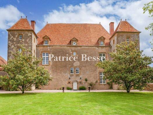 Schloss zum Kauf 1.450.000 € 20 Zimmer 450 m² 10.527 m² Grundstück Corbigny 58800