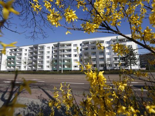 Wohnung zur Miete 295 € 1 Zimmer 30 m² 4. Geschoss frei ab 01.02.2027 Askanische Straße 70 Innenstadt Dessau-Roßlau 06842