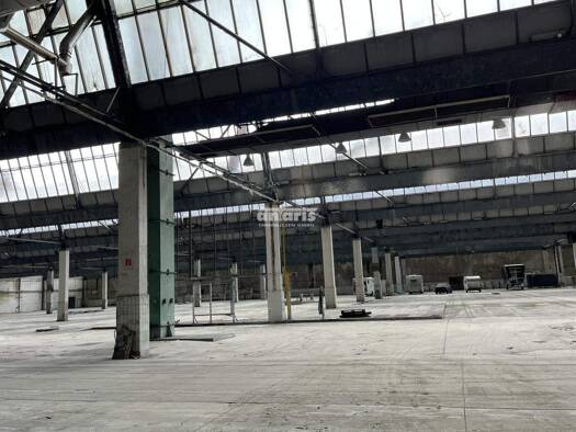 Lagerhalle zur Miete 2.500 m² Lagerfläche teilbar ab 2.500 m² Ilmenau 98693