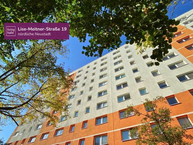 Wohnung zur Miete 430 € 3 Zimmer 58 m² 2. Geschoss Lise-Meitner-Straße 19 Nördliche Neustadt West 06122