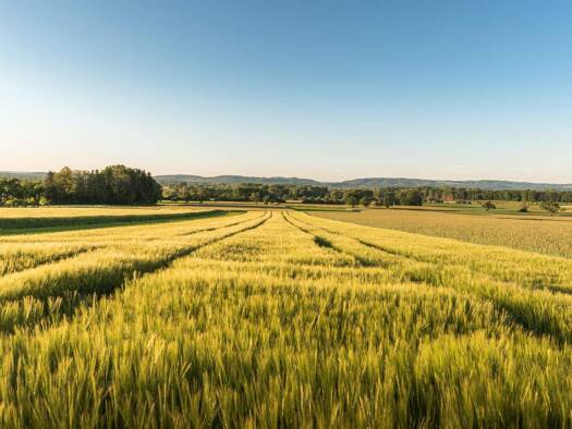Land-/Forstwirtschaft zum Kauf 45.000 m² Grundstück Untermiethnach Kirchroth 94356