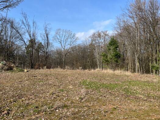 Grundstück zum Kauf 90.000 € 528 m² Grundstück Reinhardsachsen Walldürn 74731