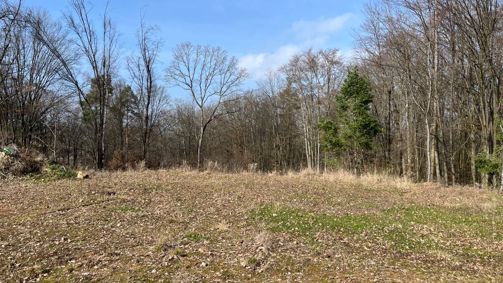 Grundstück zum Kauf 90.000 € 528 m² Grundstück Reinhardsachsen Walldürn 74731