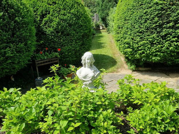 Villa zum Kauf provisionsfrei 325.000 € 6 Zimmer 190 m² 711 m² Grundstück Gars am Kamp 3571