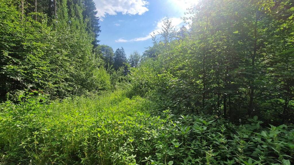 Land-/Forstwirtschaft zum Kauf 31.000 € 12.440 m² Grundstück Irlach Tiefenbach 93464