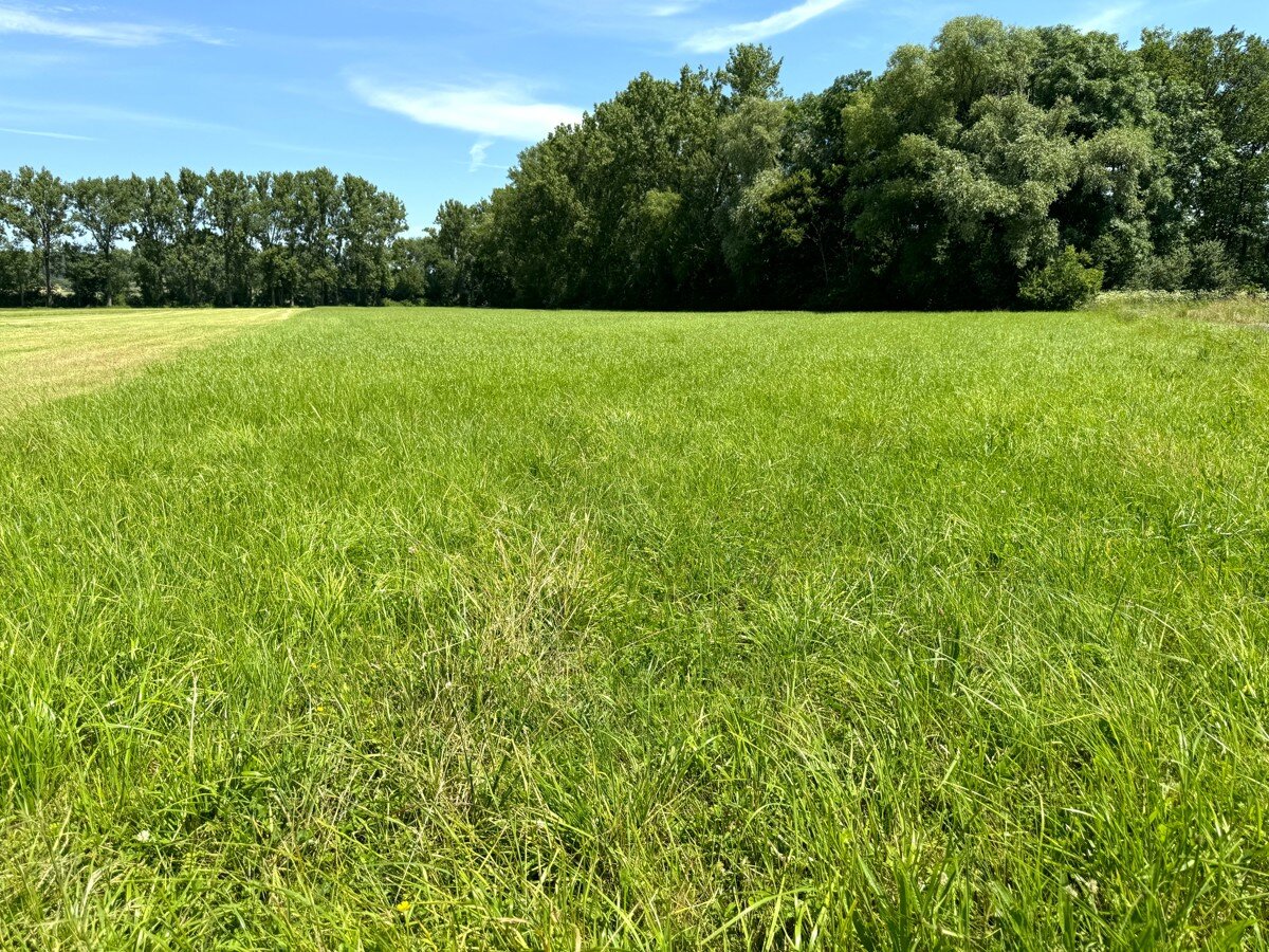 Land-/Forstwirtschaft zum Kauf 8.594 m²<br/>Fläche 8.594 m²<br/>Grundstück Berolzheim Bad Windsheim 91438