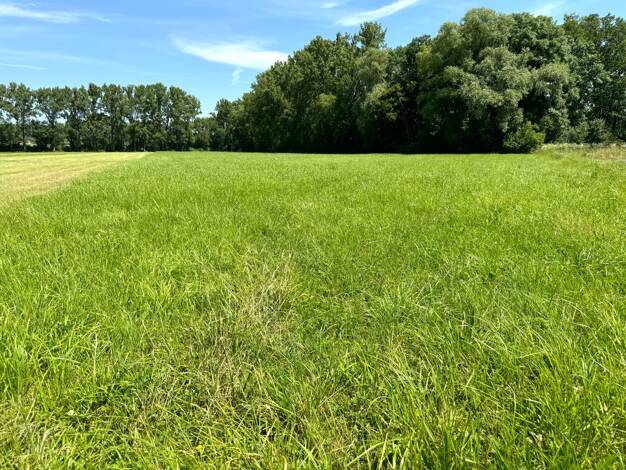 Land-/Forstwirtschaft zum Kauf 8.594 m² 8.594 m² Grundstück Berolzheim Bad Windsheim 91438