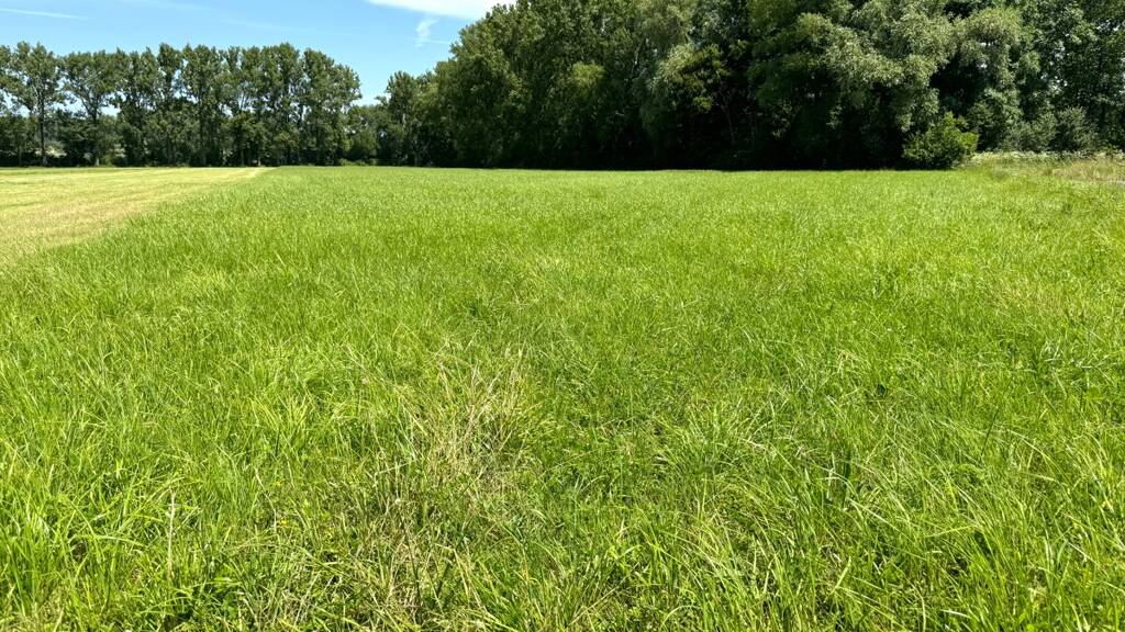 Land-/Forstwirtschaft zum Kauf 8.594 m² 8.594 m² Grundstück Berolzheim Bad Windsheim 91438