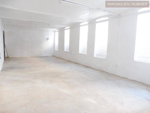 Werkstatt zur Miete 391 € 55 m² Lagerfläche Wien, Währing 1180