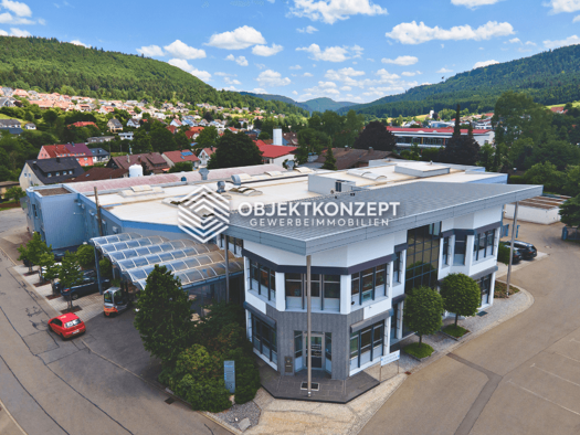 Büro zur Miete 676 m² Bürofläche Wehingen 78564