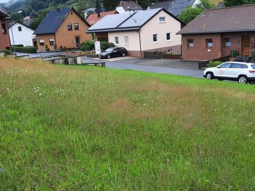 Grundstück zum Kauf provisionsfrei 61.900 € 886 m² Grundstück Hunzenbachstraße Neroth 54570