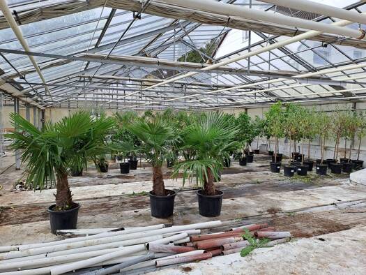 Halle/Industriefläche zur Miete provisionsfrei 900 € 450 m² Lagerfläche Dotzheim Wiesbaden 65199