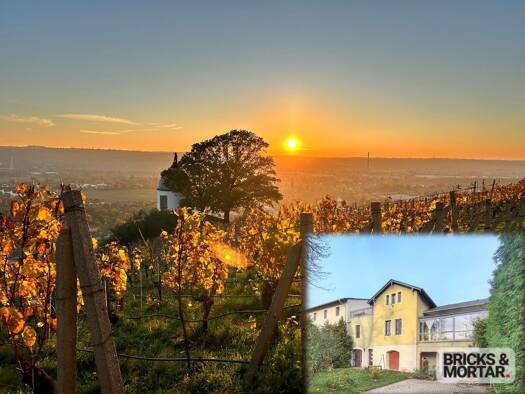 Einfamilienhaus zum Kauf 900.000 € 5 Zimmer 184 m² 410 m² Grundstück Radebeul 01445