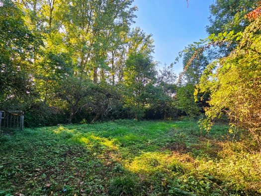 Einfamilienhaus zum Kauf provisionsfrei 599.000 € 5 Zimmer 116 m² 970 m² Grundstück frei ab sofort Guttenbergerstraße 40 Lenting 85101