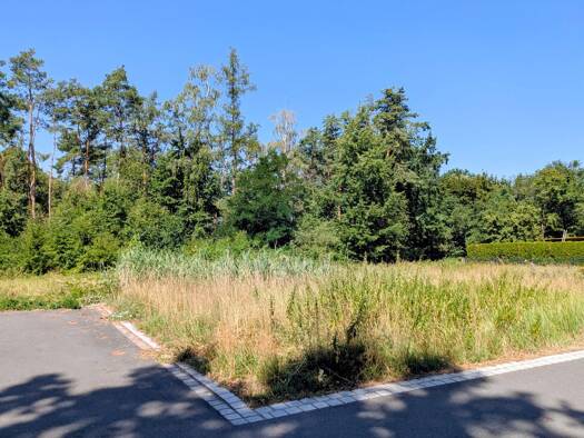 Grundstück zum Kauf 525.000 € 1.666 m² Grundstück Eltersdorf Erlangen 91058