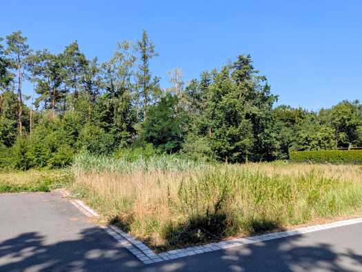 Grundstück zum Kauf 525.000 € 1.666 m² Grundstück Eltersdorf Erlangen 91058