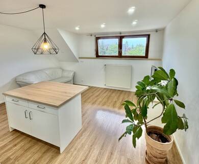 Wohnung zur Miete 750 € 3 Zimmer 70 m² Dachgeschoss, 2. Geschoss Witzhalden Ühlingen-Birkendorf 79777