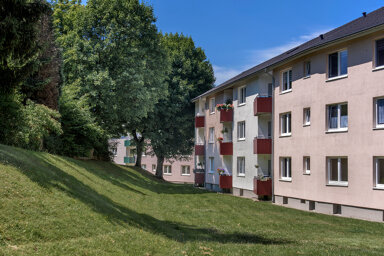 Wohnung zur Miete 522 € 3 Zimmer 69,8 m² EG frei ab 01.02.2025 Birkenstraße 20 Fichtenhöhe Remscheid 42855