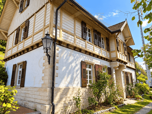 Haus zum Kauf 499.999 € 9 Zimmer 250 m² 16.000 m² Grundstück Engen Engen 78234