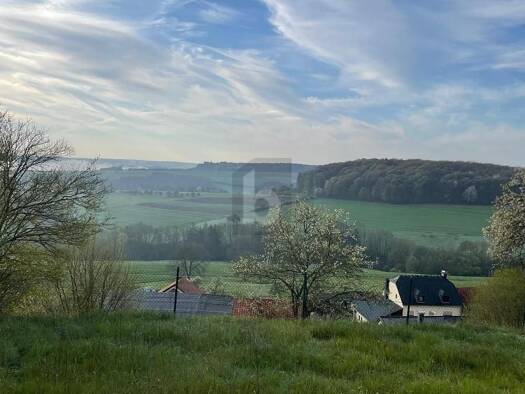 Grundstück zum Kauf 45.000 € 1.300 m² Grundstück Sülm 54636