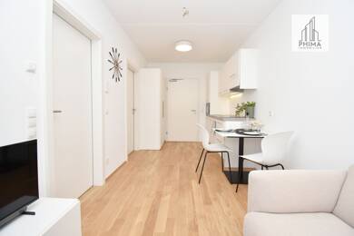 Wohnung zur Miete 800 € 2 Zimmer 25,7 m² Rheinstraße 93 Hard 6971