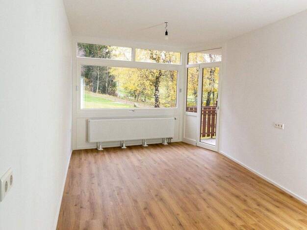 Wohnung zum Kauf provisionsfrei 185.000 € 2 Zimmer 43 m² EG Am Riesenbühl 3 Schluchsee 79859