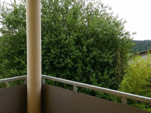 Wohnung zur Miete 636 € 3 Zimmer 61 m² frei ab 15.01.2027 Premstätten 8141