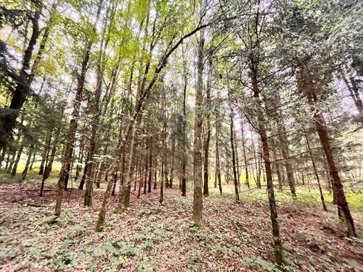 Land-/Forstwirtschaft zum Kauf 29.900 € 5.890 m² Grundstück Großalfalterbach Deining 92364