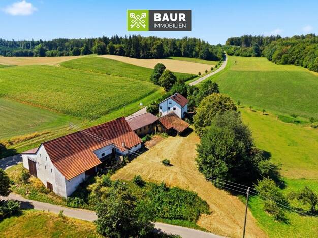 Bauernhaus zum Kauf 395.000 € 6 Zimmer 150 m² 4.521 m² Grundstück Dattenhausen Altenstadt 89281