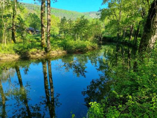 Grundstück zum Kauf 149.500 € Buzet 52420