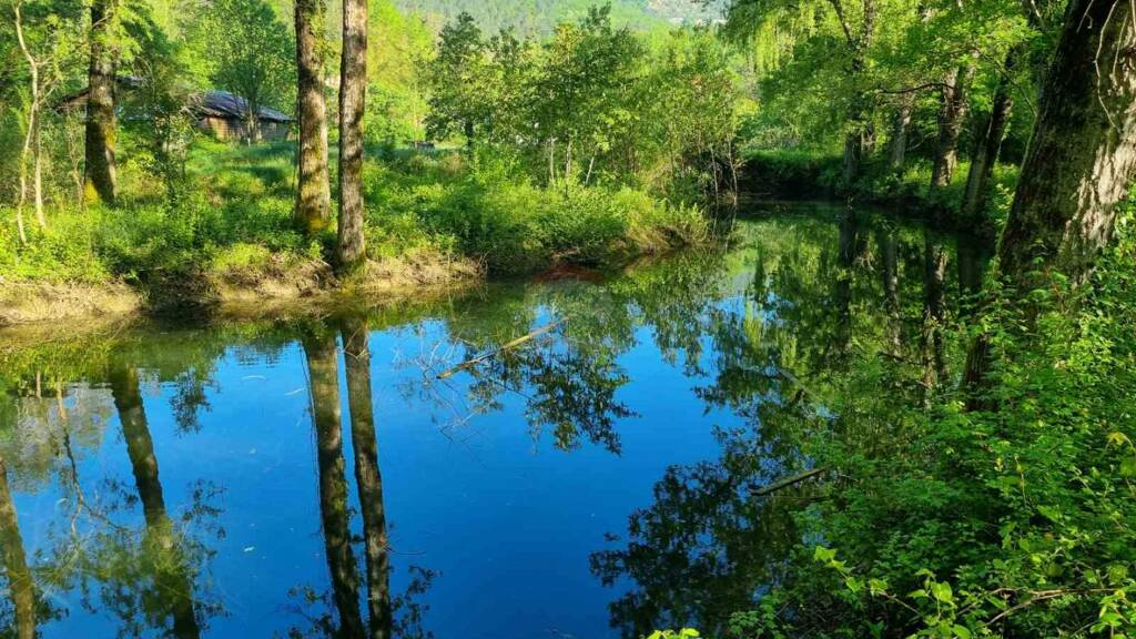 Grundstück zum Kauf 149.500 € Buzet 52420